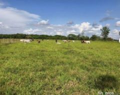 RANCHO RR - Finca en San Martin, Meta
